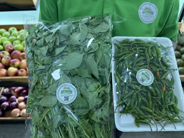 Lá É Mua Ở Đâu Hà Nội? Đánh Giá 7 Địa Chỉ Vàng & Bí Quyết Chọn Lá É Chuẩn Vị