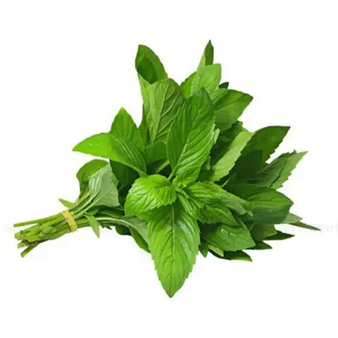 Lá É Mua Ở Đâu Hà Nội? Đánh Giá 7 Địa Chỉ Vàng & Bí Quyết Chọn Lá É Chuẩn Vị