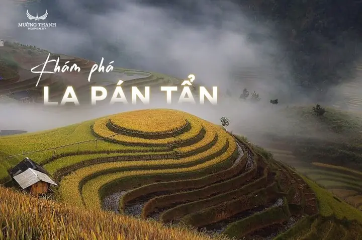 Đồi Mâm Xôi La Pán Tẩn Mù Cang Chải - Khám Phá Mùa Vàng Đẹp Nhất