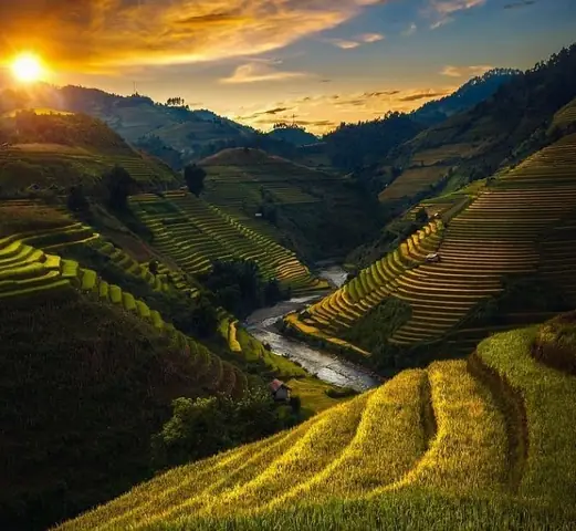 Đồi Mâm Xôi La Pán Tẩn Mù Cang Chải - Khám Phá Mùa Vàng Đẹp Nhất