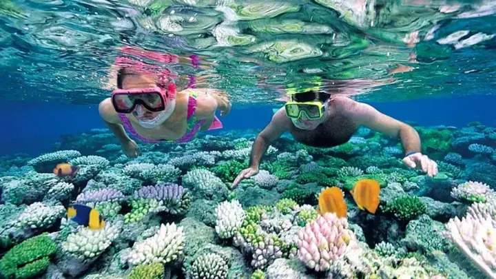 Khám Phá 5 Địa Điểm Lặn Biển Phú Quốc Đẹp Nhất Cho Du Khách