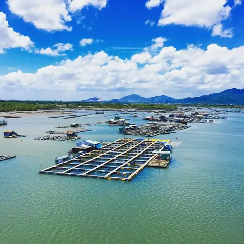 Làng Bè Long Sơn: Trải Nghiệm Hải Sản Tươi Ngon Vũng Tàu