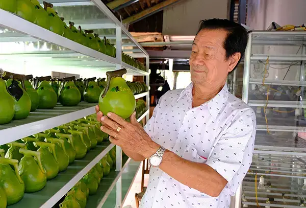 Làng Bưởi Năm Huệ Tân Triều: Cẩm Nang Khám Phá Toàn Diện