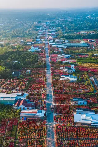 Làng Hoa Kiểng Cái Mơn: Vẻ Đẹp Bến Tre