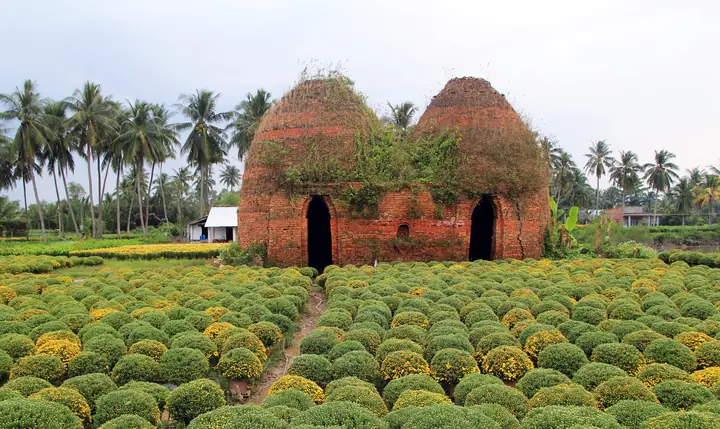 Làng Hoa Kiểng Cái Mơn: Vẻ Đẹp Bến Tre