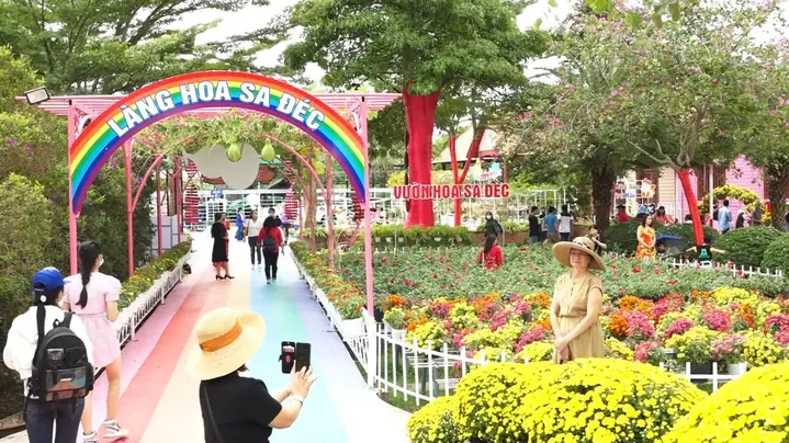 Làng Hoa Sa Đéc: Cẩm Nang Khám Phá Thủ Phủ Hoa Miền Tây