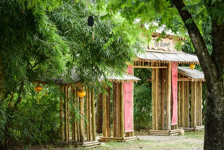 Làng Mai Thái Lan Ở Đâu? Top 5 Điểm Đến Đẹp Nhất Để Ngắm Hoa Mai Rực Rỡ Làng Mai Thái Lan Ở Đâu? Top 5 Điểm Đến Đẹp Nhất Để Ngắm Hoa Mai Rực Rỡ