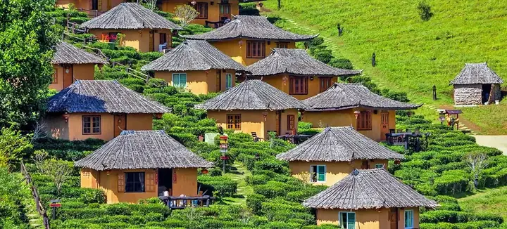 Làng Mai Thái Lan Ở Đâu? Top 5 Điểm Đến Đẹp Nhất Để Ngắm Hoa Mai Rực Rỡ Làng Mai Thái Lan Ở Đâu? Top 5 Điểm Đến Đẹp Nhất Để Ngắm Hoa Mai Rực Rỡ