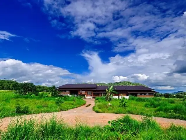 Làng Mai Thái Lan Ở Đâu? Top 5 Điểm Đến Đẹp Nhất Để Ngắm Hoa Mai Rực Rỡ