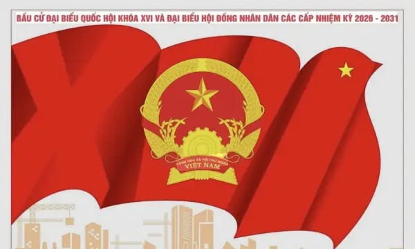 Làng Nghề Đan Lát Thái Mỹ: Mô Hình Phát Triển Nông Thôn Mới Từ Sản Xuất Liên Kết