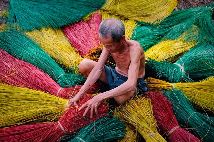 Khám Phá Làng Chiếu Định Yên – Di Sản Chiếu Truyền Thống Việt Nam Khám Phá Làng Chiếu Định Yên – Di Sản Chiếu Truyền Thống Việt Nam