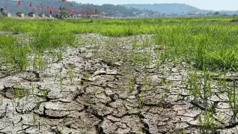 Lạng Sơn: Khám Phá Vùng Biên Giới Phía Bắc Đầy Màu Sắc