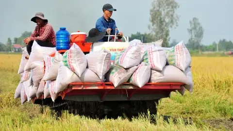 Lạng Sơn: Khám Phá Vùng Biên Giới Phía Bắc Đầy Màu Sắc