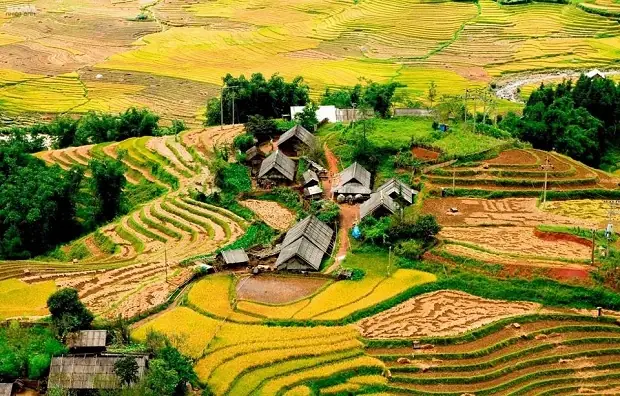 Lao Chải Tả Van Có Gì? Cẩm Nang Khám Phá Bản Làng Hoang Sơ Tây Bắc Lao Chải Tả Van Có Gì? Cẩm Nang Khám Phá Bản Làng Hoang Sơ Tây Bắc