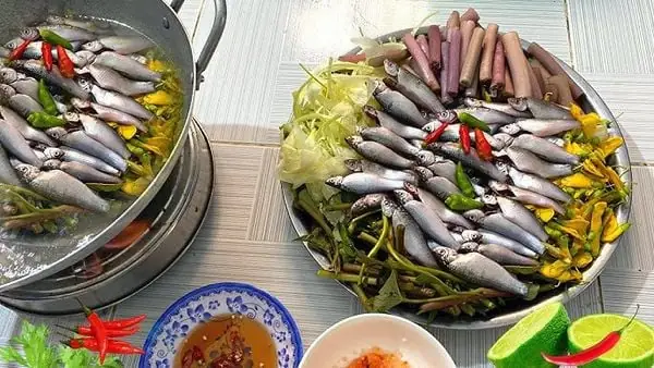 Cách Nấu Lẩu Cá Linh Bông Điên Điển Chuẩn Vị Miền Tây