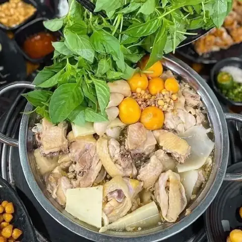 Lẩu Gà Lá É Gò Vấp: Top 5 Quán Ăn Ngon Nhất Đáng Thử Tại Quảng Ngãi