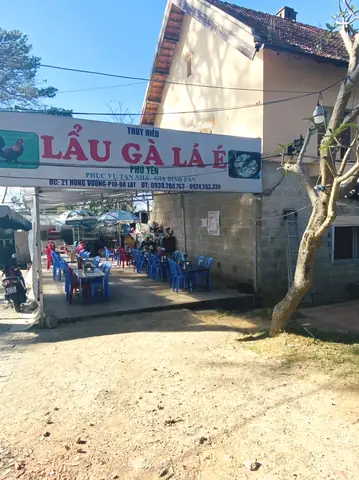 Khám Phá Lẩu Gà Lá É Thúy Hiếu – Địa Chỉ Ăn Ngon Đà Lạt