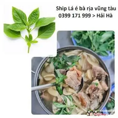Cẩm Nang Lẩu Gà Lá É Trường Sa: Nguồn Gốc, Cách Làm Và Những Quán Ăn Ngon Nhất