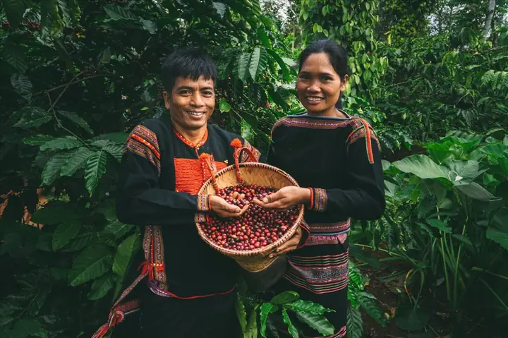 Lễ Hội Cà Phê Tây Nguyên: Cẩm Nang Trải Nghiệm Văn Hóa Và Hương Vị Đặc Sắc