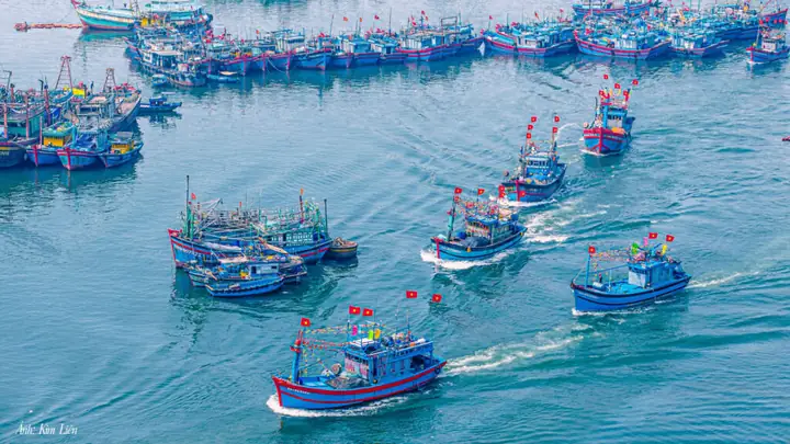 Lễ Hội Cầu Ngư Đà Nẵng: Tất Cả Những Gì Bạn Cần Biết Về Truyền Thống Biển Cả Của Thành Phố