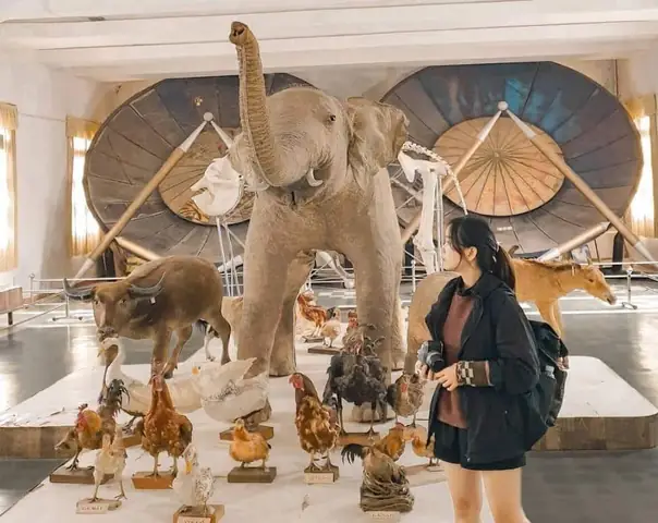 Lễ Hội Cầu Mưa Người Lô Lô: Cẩm Nang Trải Nghiệm Văn Hóa Độc Đáo Tại Hà Giang