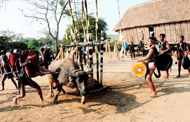 Khám Phá Lễ Hội Đâm Trâu Tây Nguyên: Lịch Sử Và Nghi Lễ Khám Phá Lễ Hội Đâm Trâu Tây Nguyên: Lịch Sử Và Nghi Lễ