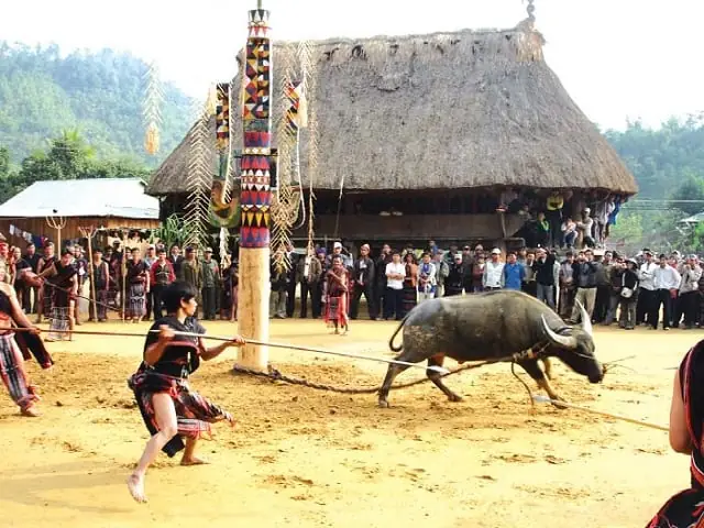 Khám Phá Lễ Hội Đâm Trâu Tây Nguyên: Lịch Sử Và Nghi Lễ Khám Phá Lễ Hội Đâm Trâu Tây Nguyên: Lịch Sử Và Nghi Lễ