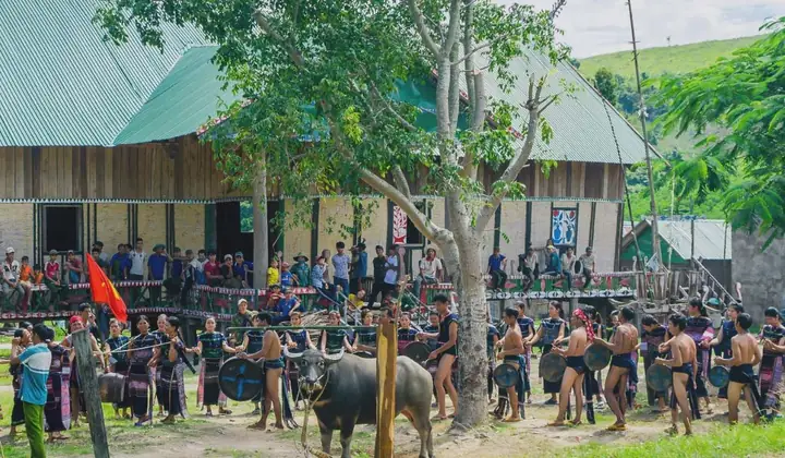 Khám Phá Lễ Hội Đâm Trâu Tây Nguyên: Lịch Sử Và Nghi Lễ Khám Phá Lễ Hội Đâm Trâu Tây Nguyên: Lịch Sử Và Nghi Lễ