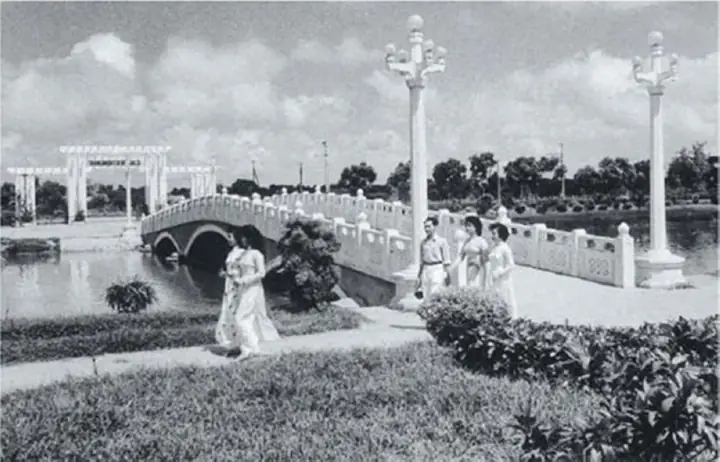 Công Viên Thống Nhất Hà Nội: Cẩm Nang Khám Phá Lá Phổi Xanh Trung Tâm Thủ Đô
