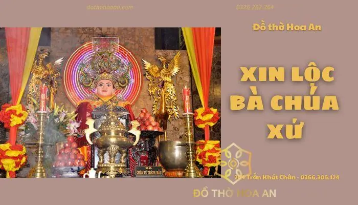 Lộc Bà Nên Để Ở Đâu? Bí Quyết Phong Thủy Cho Ngôi Nhà