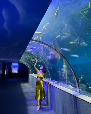 Lối Vào Thủy Cung Time City: Hướng Dẫn Đầy Đủ Cho Du Khách Lối Vào Thủy Cung Time City: Hướng Dẫn Đầy Đủ Cho Du Khách