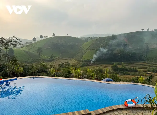 Khám Phá Đồi Chè Long Cốc: Thiên Đường "tiên Cảnh" Phú Thọ Khám Phá Đồi Chè Long Cốc: Thiên Đường "tiên Cảnh" Phú Thọ
