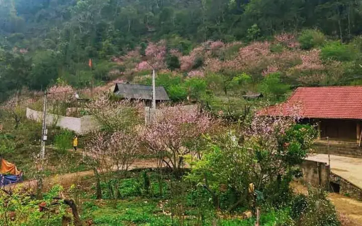 Lóng Luông: Xã Thuộc Vân Hồ, Sơn La Và Lịch Sử Phức Tạp Lóng Luông: Xã Thuộc Vân Hồ, Sơn La Và Lịch Sử Phức Tạp