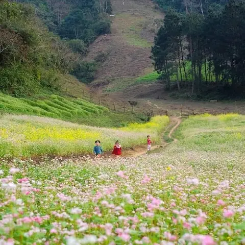 Cẩm Nang Du Lịch Lóng Luông Vân Hồ Sơn La