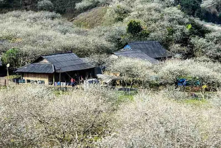 Cẩm Nang Du Lịch Lóng Luông Vân Hồ Sơn La