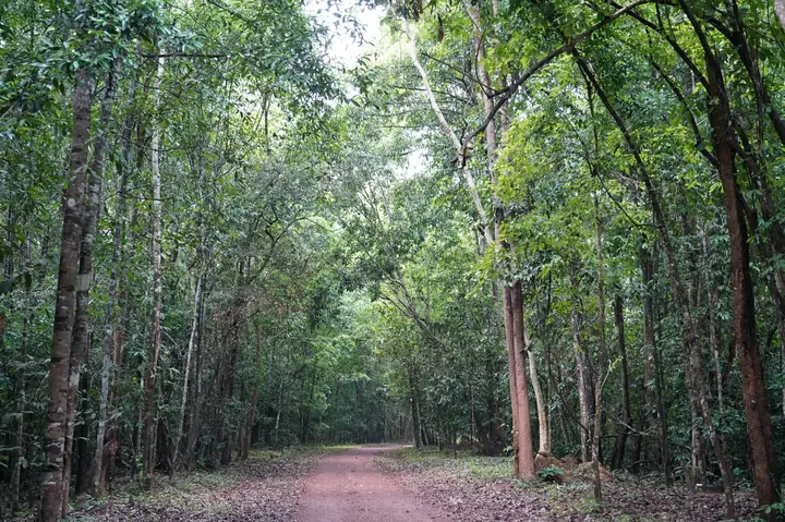 Khám Phá Mã Đà: Thiên Đường Cắm Trại & Trekking Gần Sài Gòn Khám Phá Mã Đà: Thiên Đường Cắm Trại & Trekking Gần Sài Gòn