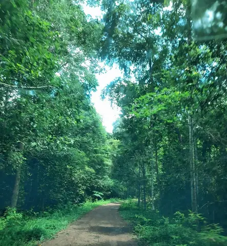 Khám Phá Mã Đà: Thiên Đường Cắm Trại & Trekking Gần Sài Gòn Khám Phá Mã Đà: Thiên Đường Cắm Trại & Trekking Gần Sài Gòn