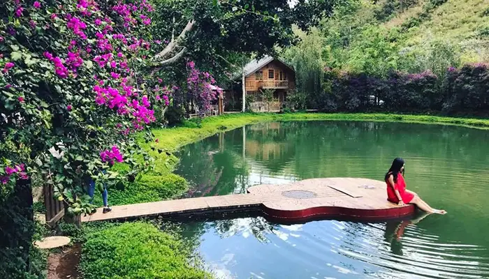 Ma Rừng Lữ Quán Đà Lạt: Kinh Nghiệm, Giá Vé & Review