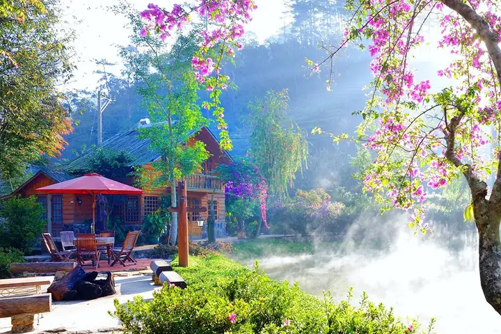 Ma Rừng Lữ Quán Đà Lạt: Kinh Nghiệm, Giá Vé & Review