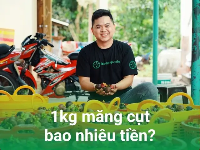 Măng Cụt Ở Đâu Ngon Nhất: Trải Nghiệm Đặc Sản Vàng Từ Vườn Cổ Thụ Lái Thiêu