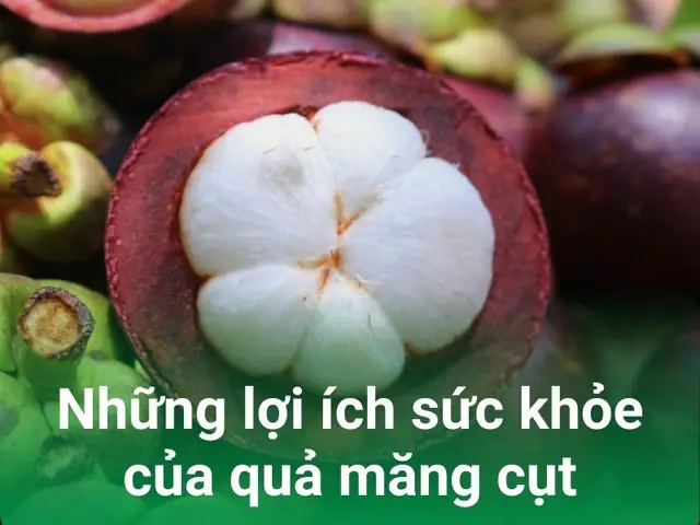 Măng Cụt Ở Đâu Ngon Nhất: Trải Nghiệm Đặc Sản Vàng Từ Vườn Cổ Thụ Lái Thiêu