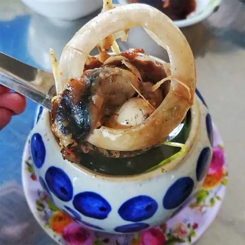 Cách Làm Mắt Cá Ngừ Tiềm Thuốc Bắc Chuẩn Vị Phú Yên Cho Gia Đình Cách Làm Mắt Cá Ngừ Tiềm Thuốc Bắc Chuẩn Vị Phú Yên Cho Gia Đình