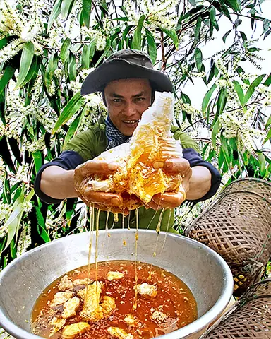 Mật Ong Rừng U Minh Hạ: Nguồn Gốc, Đặc Điểm Và 5 Lợi Ích Sức Khỏe