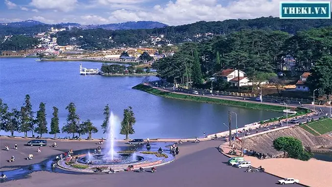 Đà Lạt Có Gì Đặc Biệt? Cẩm Nang Khám Phá Thành Phố Sương Mù Toàn Diện