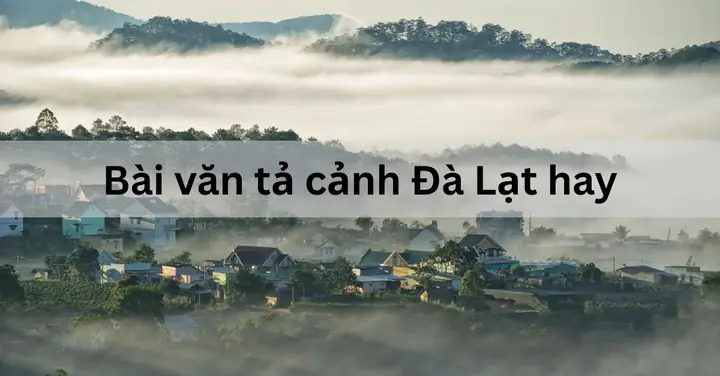 Đà Lạt Có Gì Đặc Biệt? Cẩm Nang Khám Phá Thành Phố Sương Mù Toàn Diện