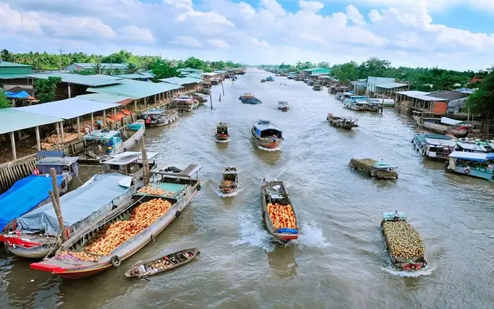 Mỏ Cày Nam Có Gì Chơi? Khám Phá 10 Trải Nghiệm Văn Hóa & Thiên Nhiên Độc Đáo Mỏ Cày Nam Có Gì Chơi? Khám Phá 10 Trải Nghiệm Văn Hóa & Thiên Nhiên Độc Đáo