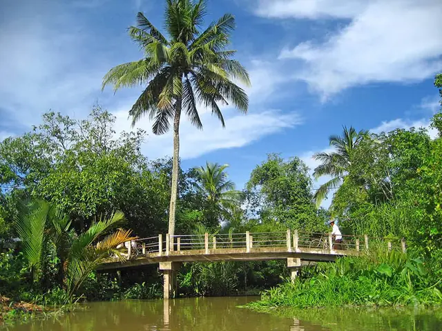 Mỏ Cày Nam Có Gì Chơi? Khám Phá 10 Trải Nghiệm Văn Hóa & Thiên Nhiên Độc Đáo Mỏ Cày Nam Có Gì Chơi? Khám Phá 10 Trải Nghiệm Văn Hóa & Thiên Nhiên Độc Đáo