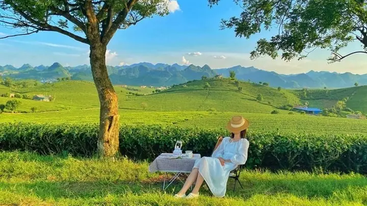 Mộc Châu Sơn La Có Gì Đẹp? Cẩm Nang Khám Phá 10 Điểm Đến Đẹp Nhất