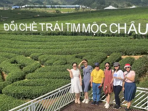 Mộc Châu Sơn La Có Gì Đẹp? Cẩm Nang Khám Phá 10 Điểm Đến Đẹp Nhất