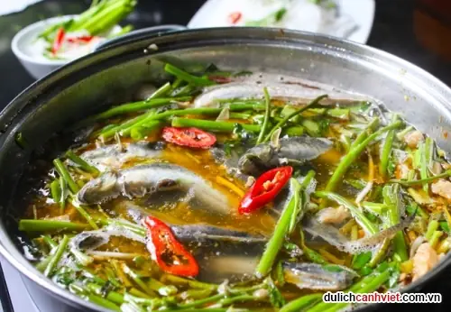 Cẩm Nang Ẩm Thực Miền Tây Sông Nước: 10 Món Ăn Đậm Chất Đất Phương Nam Cẩm Nang Ẩm Thực Miền Tây Sông Nước: 10 Món Ăn Đậm Chất Đất Phương Nam